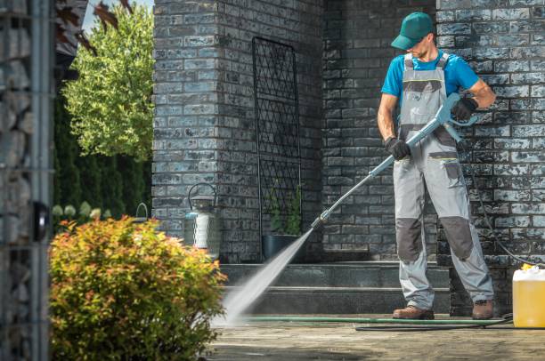 Best Soft Washing  in Jenison, MI