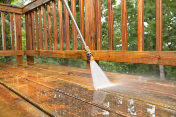 Best Roof Washing  in Jenison, MI